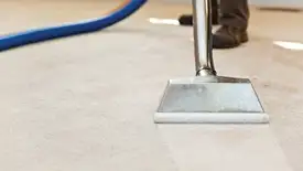 Carpet cleaning wand head gliding over a light carpet during hot-water extraction, Yonkers, NY.