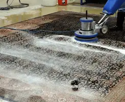 Professional rug cleaning with a rotary floor machine and shampoo foam, deep-cleaning an area rug, in Yonkers, NY.