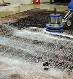 Professional rug cleaning with a rotary floor machine and shampoo foam, deep-cleaning an area rug Yonkers, NY.